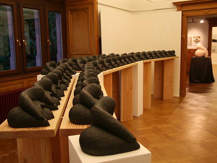 #nivoslider-caption-3 Ausstellung Kunstpalais Badenweiler 2014